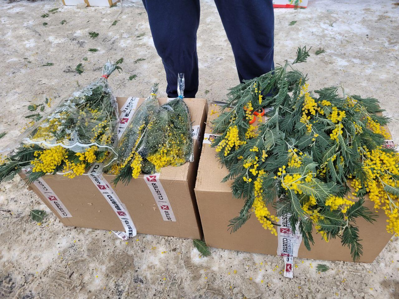 Фото «Стараемся держать цены»: сколько стоят букеты на 8 марта в Новосибирске и где остались недорогие цветы 10